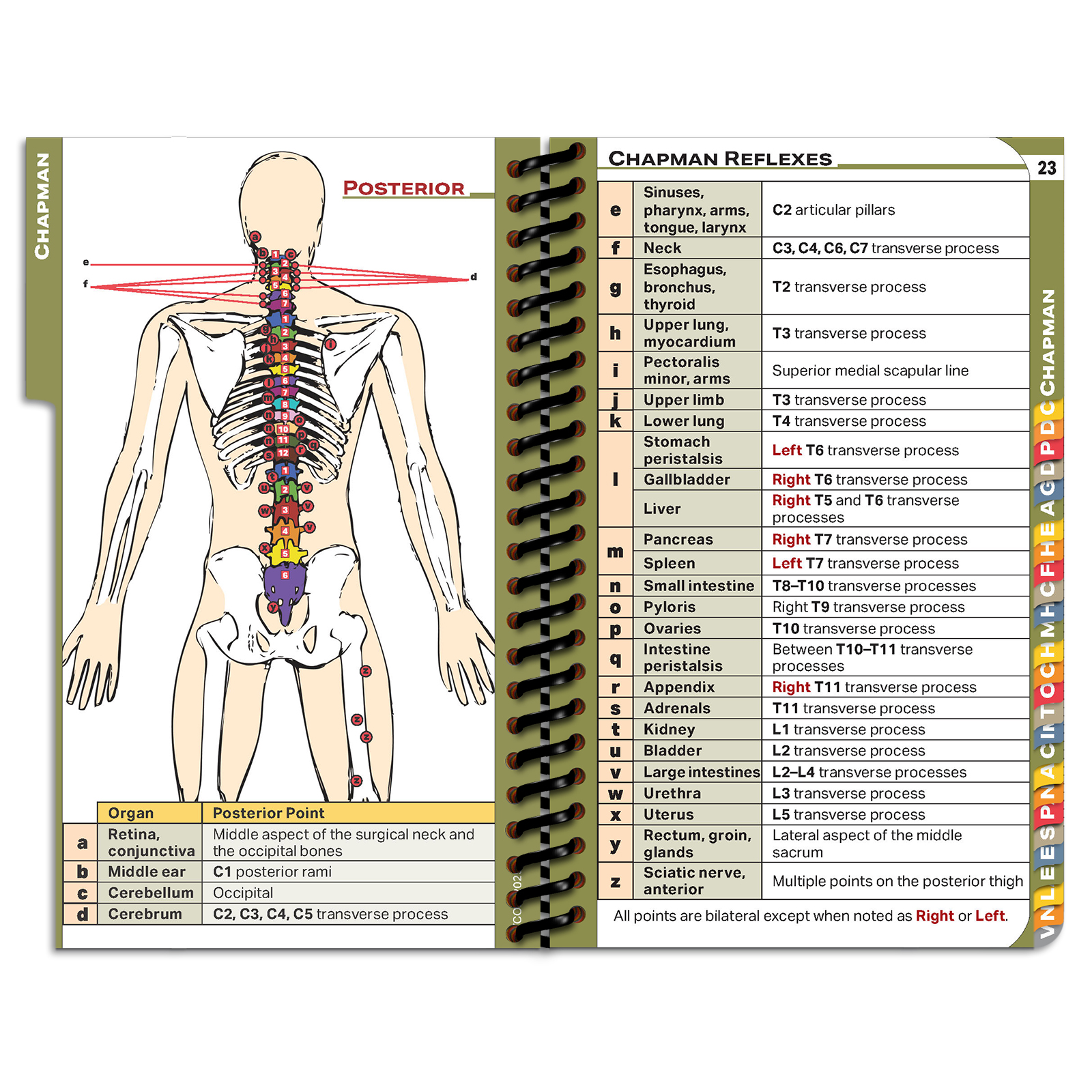 DOpocket Kentucky College of Osteopathic Medicine
