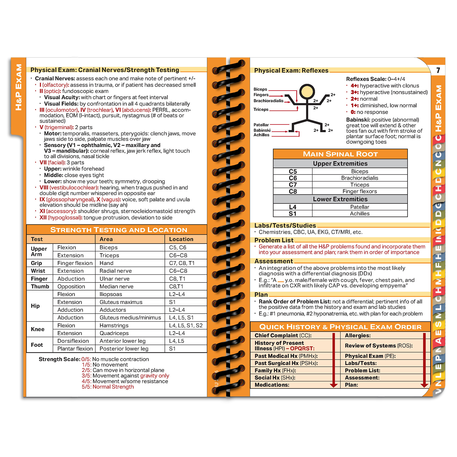 DOpocket Lincoln Memorial University