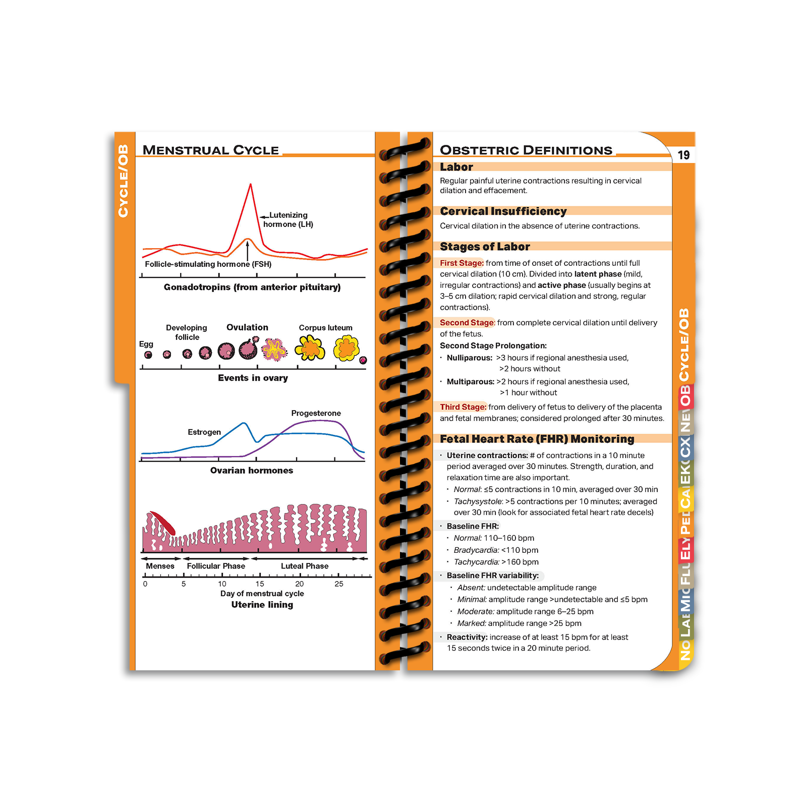 PApocket Physician Assistant Mini Edition