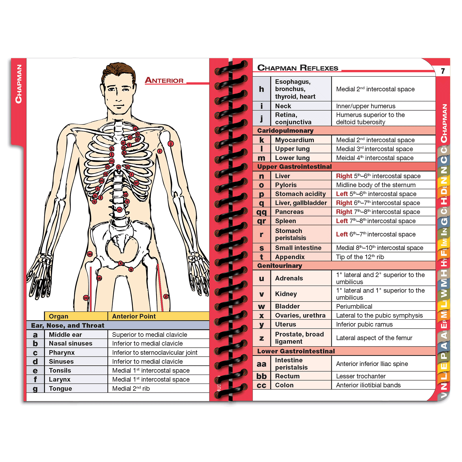 DOpocket Lincoln Memorial University - 2019 Edition