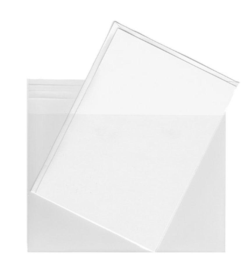 Envelope Bags - 200 pack
