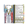 PApocket Physician Assistant Mini Edition
