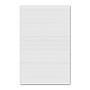 Vertical Ledger ISO Clipboard Notepads (11" x 17")