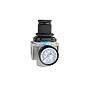 Air Regulator 1"