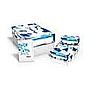 (Sleeve Paper) Sterling 80lb 11x17 White 96 Bright